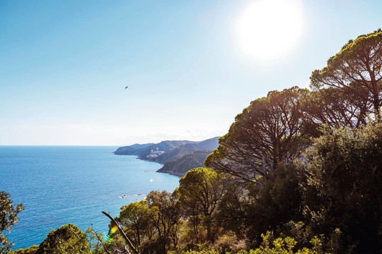 De temperatuur in Costa Brava